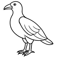 Obraz premium Bird vector illustration.