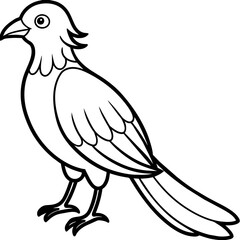  Bird vector illustration.

