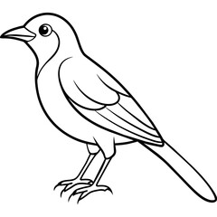  Bird vector illustration.

