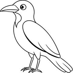  Bird vector illustration.

