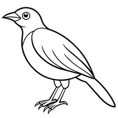  Bird vector illustration.

