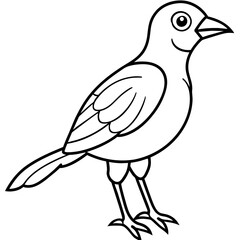 Obraz premium Bird vector illustration.