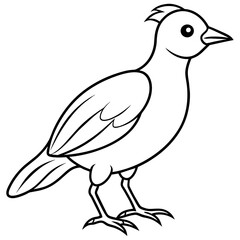  Bird vector illustration.

