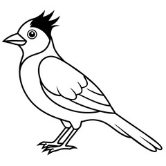  Bird vector illustration.

