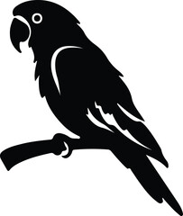 Obraz premium parrot silhouette
