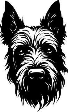 recommend clip art: Scottish Terrier - High Quality Vector Logo - Vector illustration ideal for T-shirt graphic