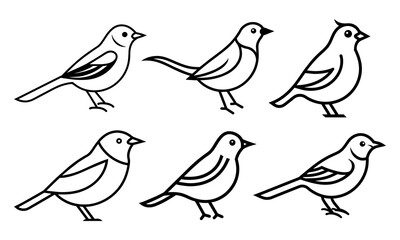 Bird line art hand drawn set
