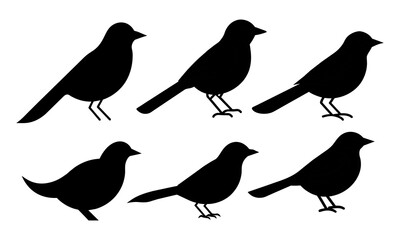 Silhouette of bird collection black isolated on white background