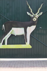A blacktailed deer cardboard cutout on a green wall outside of the zoo entrance, with the animal...