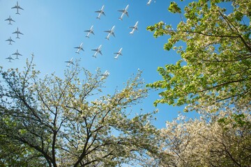 城南島海浜公園からの羽田空港と飛行機