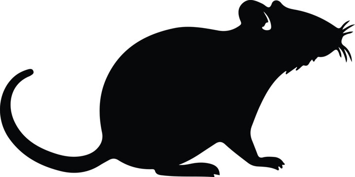 rat silhouette