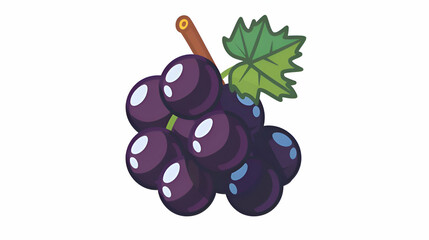 Bunch of grapes, blackcurrant grape, fruit grapes vector illustration, blackcurrant fruit icon, blackcurrant purple grape cartoon royalty  illustration isolated on white