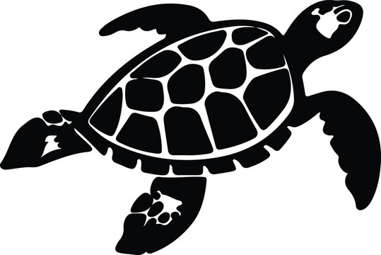 recommend clip art: sea turtle silhouette
