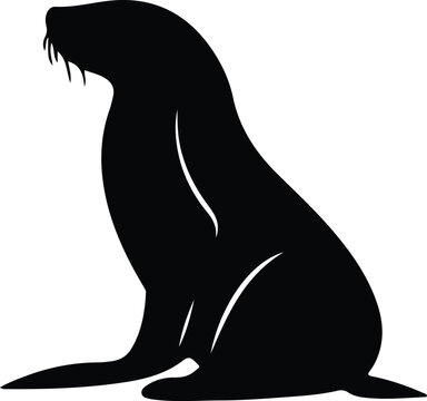 sealion silhouette