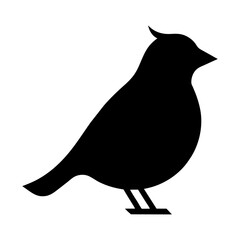 silhouette of a bird