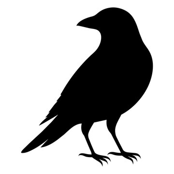 recommend clip art: silhouette of a crow