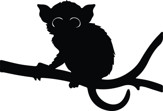 tarsier silhouette