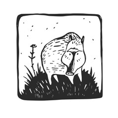 Vector hand-drawn illustration of a Peccary Collared in grass. A stamp with a wild Brazilian animal in the style of a sketch.