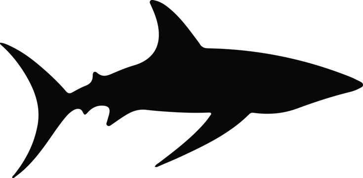 thresher shark silhouette