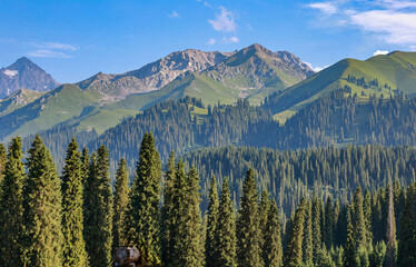 Verdant Mountain Majesty