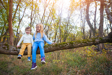 Little brother and his sister sitting on the tree in the fall