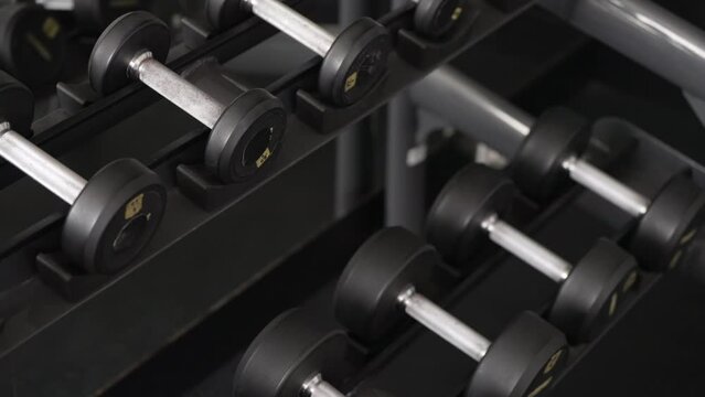 Dolly, dumbbells on rack in fitness center for weight training, iron