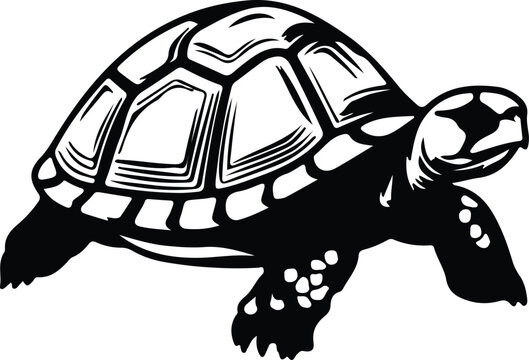 black and white turtle walking clip art preview