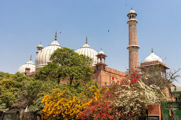 Exterior of the Jama Masjid mosque in Delhi, India, Asia