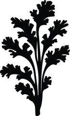 arugula silhouette