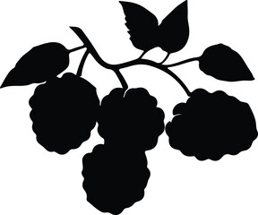 blackberry silhouette