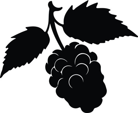 black blackberry fruit with leaves clip art preview