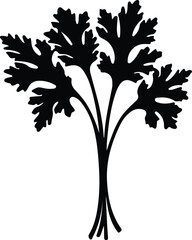 Obraz premium celery silhouette