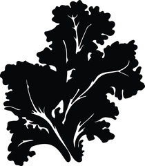 collard greens silhouette