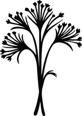 fennel silhouette