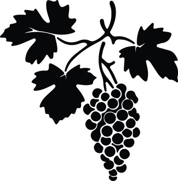 grape silhouette