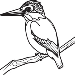 Obraz premium Kingfisher coloring page. A black and white drawing of kingfisher.