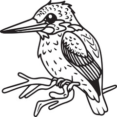 Kingfisher coloring page. A black and white drawing of kingfisher.