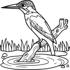 Kingfisher coloring page. A black and white drawing of kingfisher.