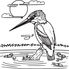 Kingfisher coloring page. A black and white drawing of kingfisher.