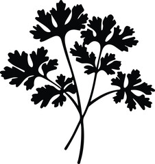 Obraz premium parsley silhouette