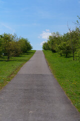 path in the park