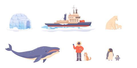 North pole arctic vector illustration. Cartoon antarctica set with penguin, polar bear, icebreaker, igloo, whale, scientist and dog. Polar science explorer collection