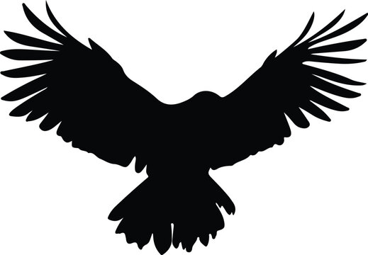 recommend clip art: vulture silhouette