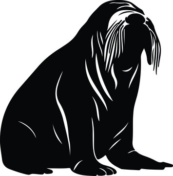recommend clip art: walrus silhouette