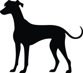 Fototapeta premium whippet silhouette