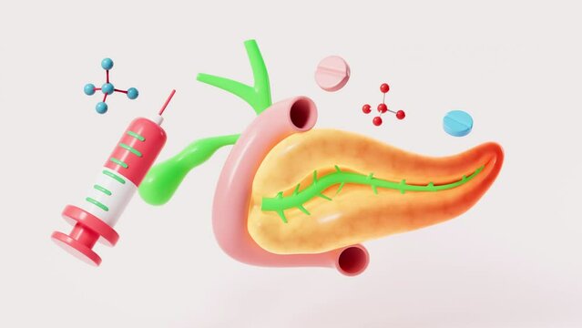 Human pancreas, gall bladder organ model, pancreatitis and drug therapy, 3d rendering.