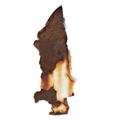 Rust Texture Close-up
