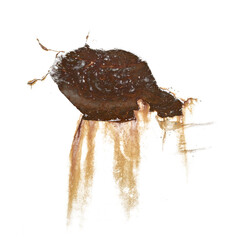 Rust Texture Close-up
