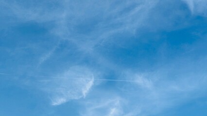久し振りの飛行機雲