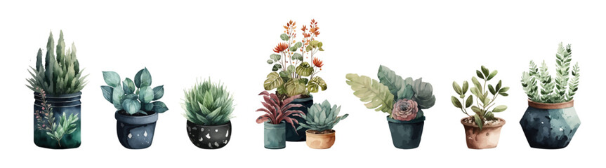 Watercolor vector set of cactus and succulent. Plant illustration.